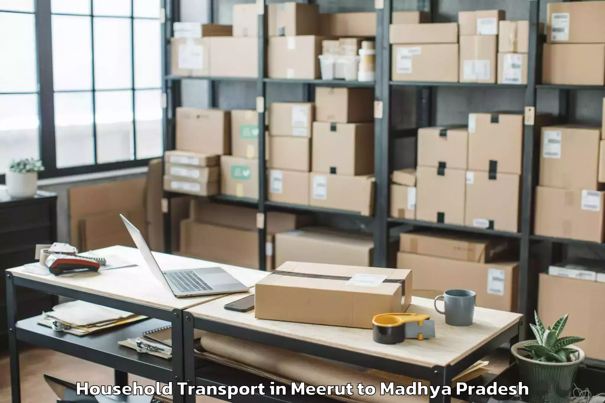 Book Meerut to Ghughri Household Transport